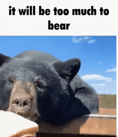 Bear Saying It Will Be Too Much To Bear GIF