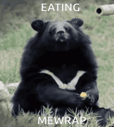Bear Sitting In Grass Eating Food With Caption Eating Mewrap GIF