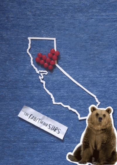 Bear Sitting Next To The Fault In Our Stars Tag GIF