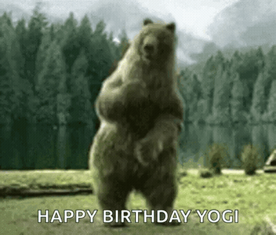 Bear Sitting On Ground With Nature Picture Library GIF