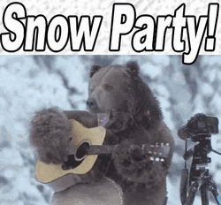 Bear Snow Party GIF
