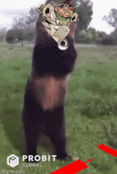 Bear Standing In Field With Probit Logo GIF