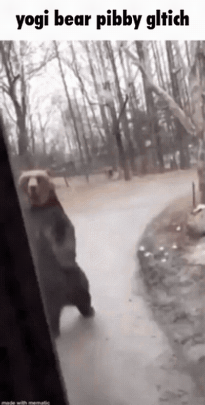 Bear Standing On Hind Legs On Sidewalk GIF