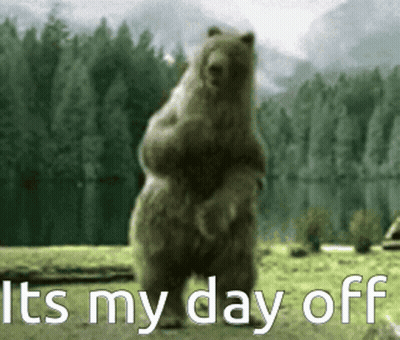 Bear Standing On Hind Legs Saying It's My Day Off GIF