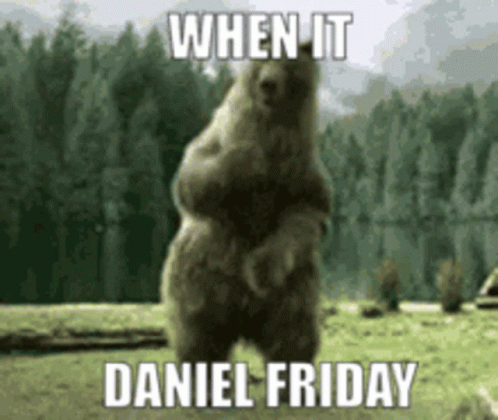 Bear Standing On Hind Legs When It Daniel Friday GIF