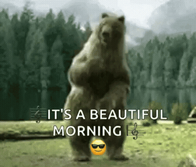 Bear Standing Saying It's A Beautiful Morning GIF