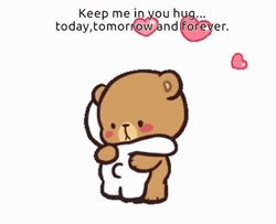 Bear Stickers Animated Tight Hold GIF
