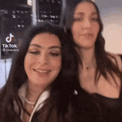 Bear Trade Lewisxcx GIF