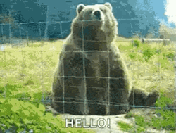 Bear Waving Hello GIF