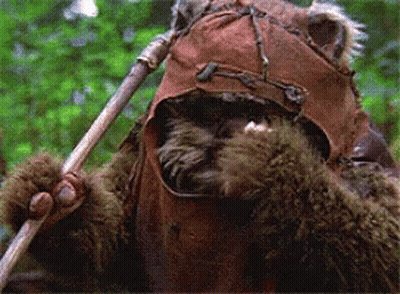 Bear Wearing Brown Hat Holding Stick GIF