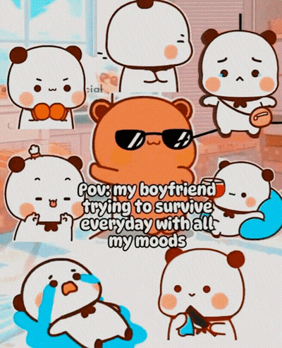 Bear Wearing Sunglasses Surviving Moods GIF