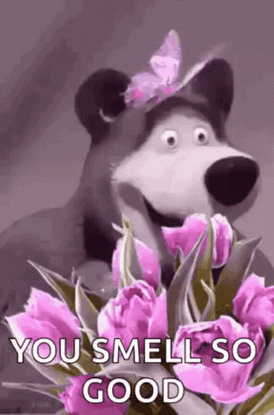 Bear With Butterfly On Head Holding Pink Flowers Saying You Smell So Good GIF