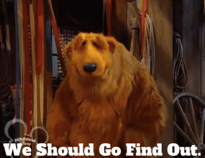 Bear With We Should Go Find Out GIF