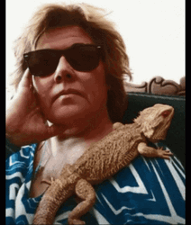 Bearded Dragon On Shoulder GIF