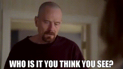 Bearded Man Asking Who Is It You Think You See GIF