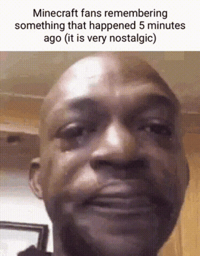 Bearded Man Crying With Minecraft Meme Saying Something That Happened 5 Minutes Ago GIF