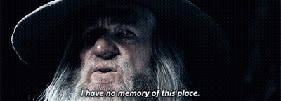Bearded Man Hat Saying I Have No Memory GIF