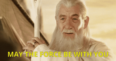 Bearded Man Holding Sword May The Force Be With You GIF