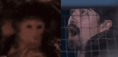 Bearded Man In Bandana Behind Fence In Dark Room GIF