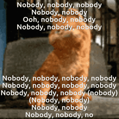 Bearded Man In Black Shirt Saying You Sure GIF