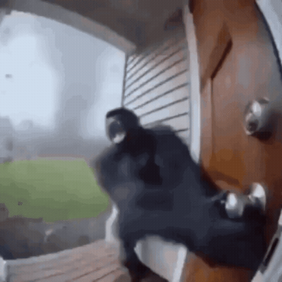 Bearded Man In Front Of FFL Sign GIF