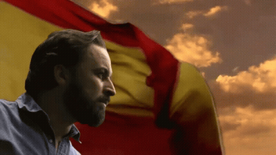 Bearded Man In Front Of Flag GIF