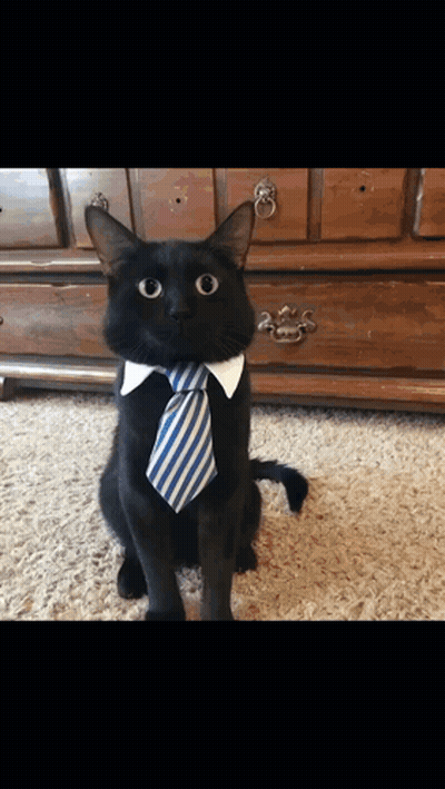 Bearded Man In Glasses With Another Man Emam.com GIF