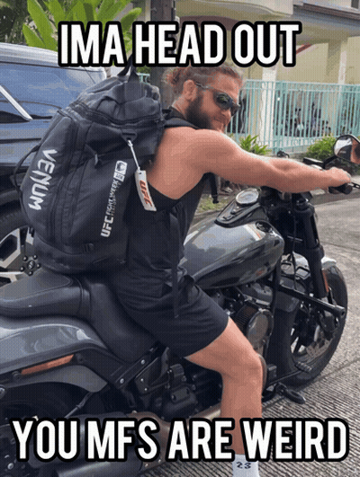 Bearded Man In Green Shirt And Ponytail GIF