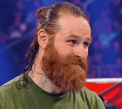 Bearded Man In Green Shirt And Ponytail GIF