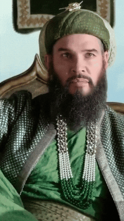 Bearded Man In Green Turban GIF