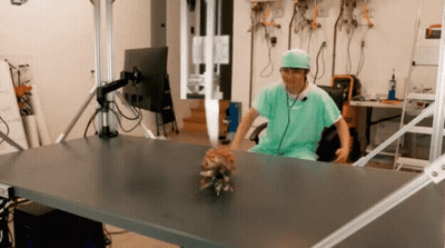 Bearded Man In Hat Tongue Out GIF