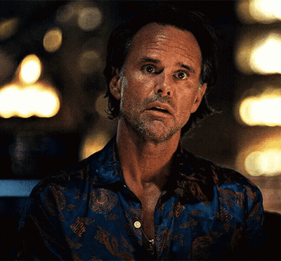 Bearded Man In Patterned Blue Shirt GIF