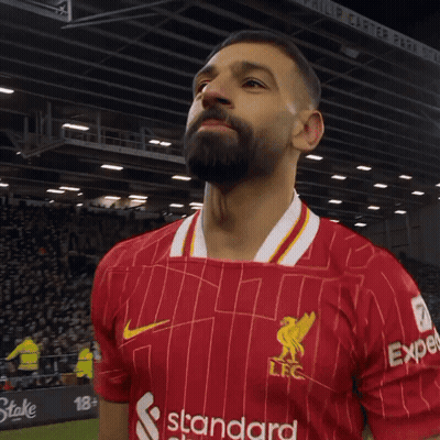 Bearded Man In Red Shirt Saying Standard GIF