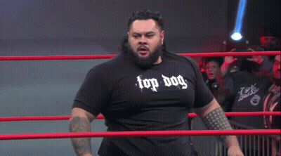 Bearded Man In Top Dog Shirt GIF