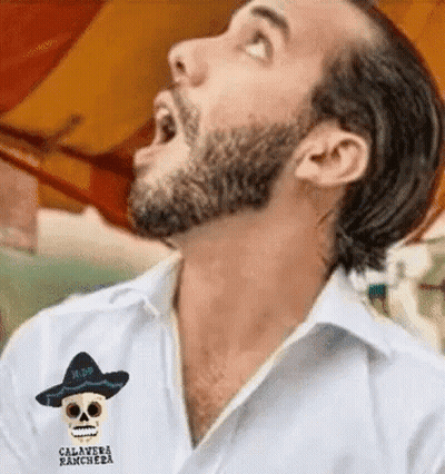 Bearded Man In White Skull Shirt GIF