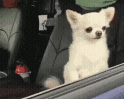 Bearded Man Laying On Bed Saying Hello GIF