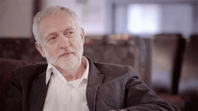 Bearded Man On Couch Looking At Camera GIF