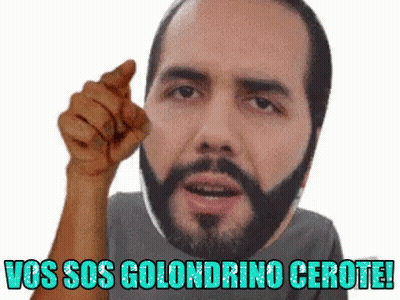Bearded Man Pointing At Camera Saying Vos Sos Golondrino Cerote GIF