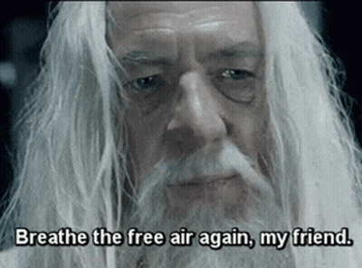 Bearded Man Saying Breathe Free Air Again Friend GIF
