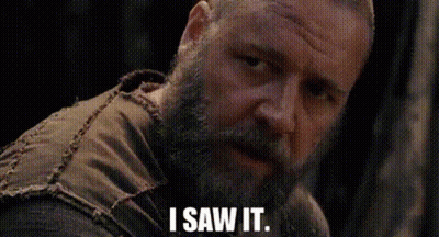 Bearded Man Saying I Saw It GIF