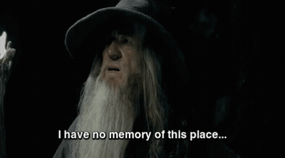Bearded Man Saying No Memory Of This Place GIF