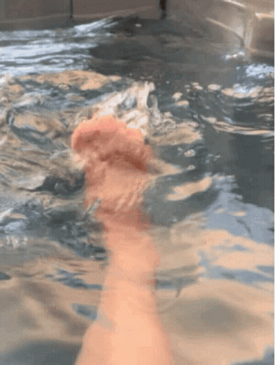 Bearded Man Saying Send Link GIF