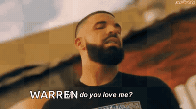 Bearded Man Saying Warren Do You Love Me GIF