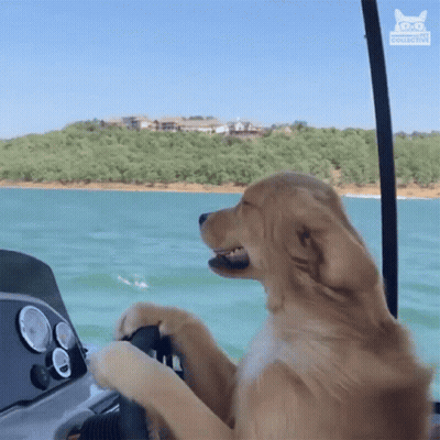 Bearded Man Says That Is An Order Halo Ad GIF