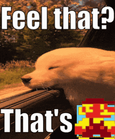Bearded Man Says That's A Shut Door GIF