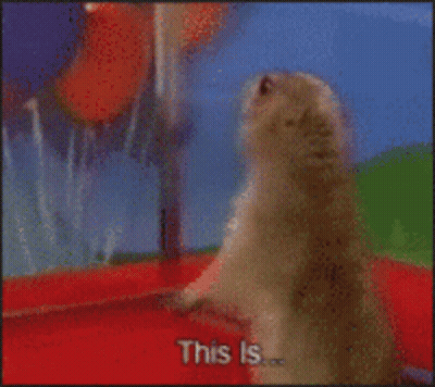 Bearded Man Screaming Sparta GIF