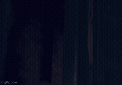 Bearded Man Statue Holding Red Lightsaber GIF