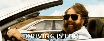 Bearded Man Sunglasses Driving Car Saying Driving Is Fun GIF