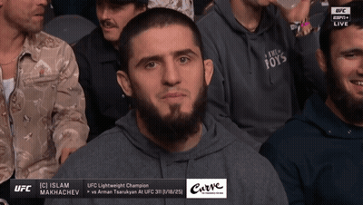 Bearded Man Watching UFC Fight In Crowd GIF