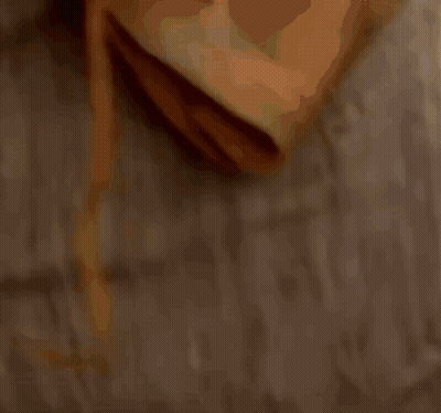Bearded Man With Dungeon Master Sign GIF